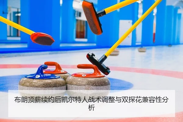 bu-lang-ding-xin-xu-yue-hou-kai-er-te-ren-zhan-shu-tiao-zheng-yu-shuang-tan-hua-jian-rong-xing-fen-xi-2-285.jpg
